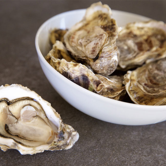 Jersey Rock Oysters