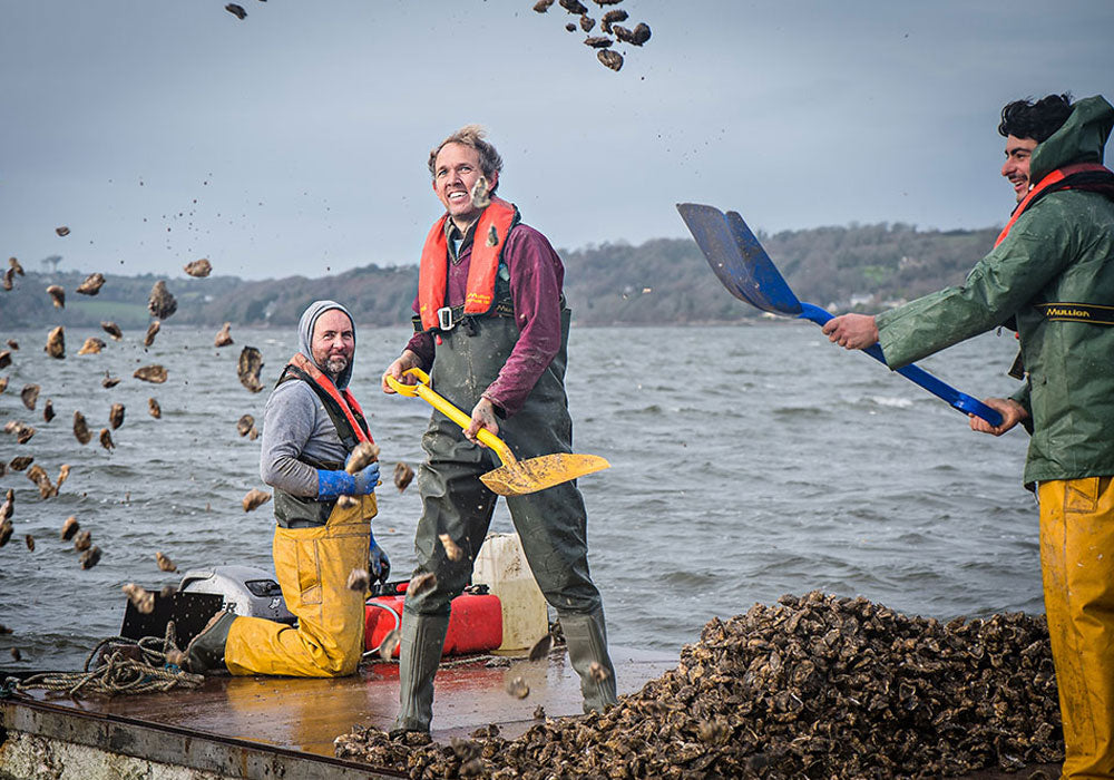 Rossmore Oyster Farm – Rossmore Oysters Ltd