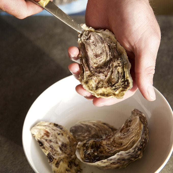 Jersey Rock Oysters