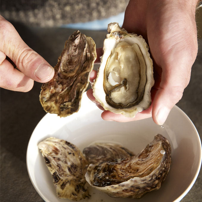 Jersey Rock Oysters