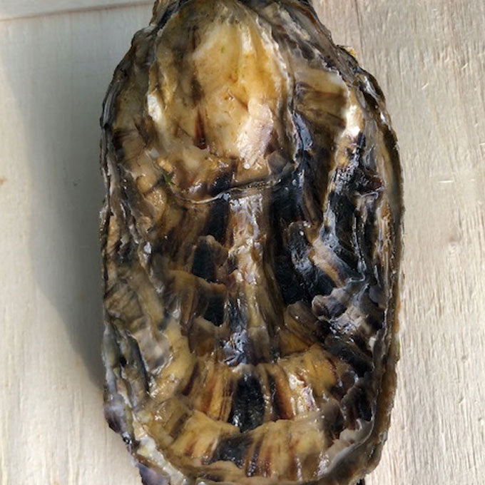 Poole Rock Oysters