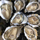 Rossmore Rock Oysters