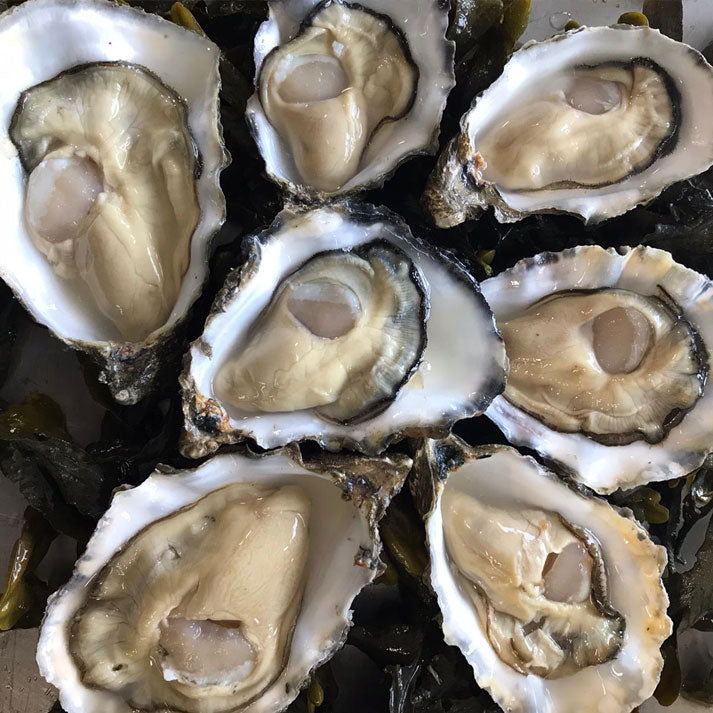 Rossmore Rock Oysters
