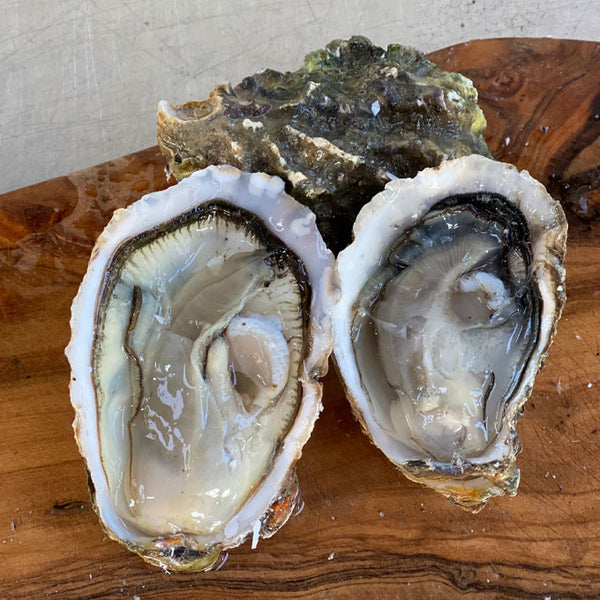 Mersea Rocks West Mersea Rock Oysters – Rossmore Oysters Ltd